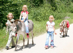 Kinder bestehen den Eself�hrerschein spielend